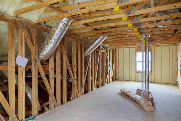 Best Professional Insulation Contractor  in Paris, TX