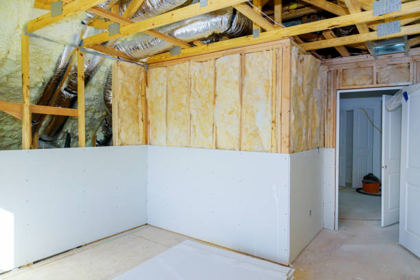 Best Home Insulation Services  in Paris, TX