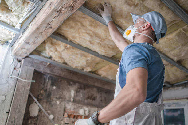 Best Crawl Space Insulation  in Paris, TX