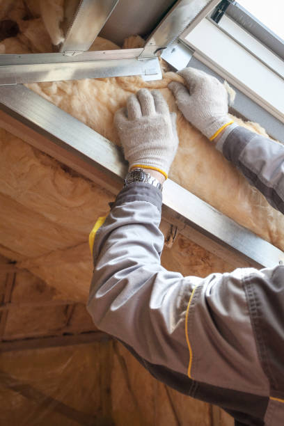 Best Insulation for New Construction  in Paris, TX