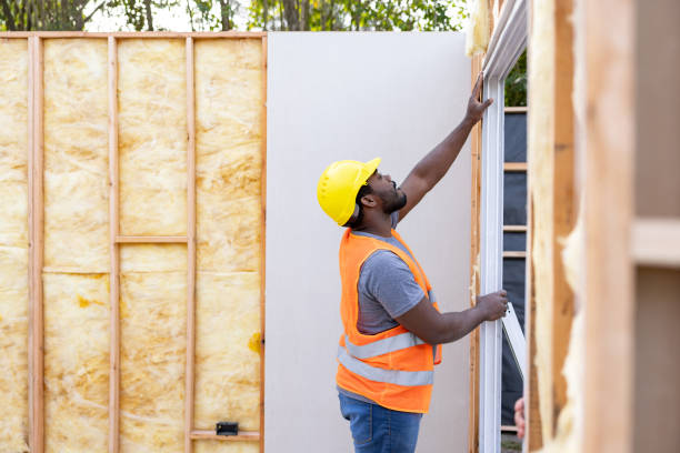 Best Local Insulation Services  in Paris, TX